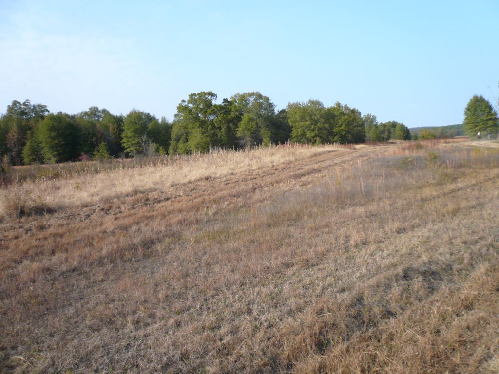 P1000417.JPG