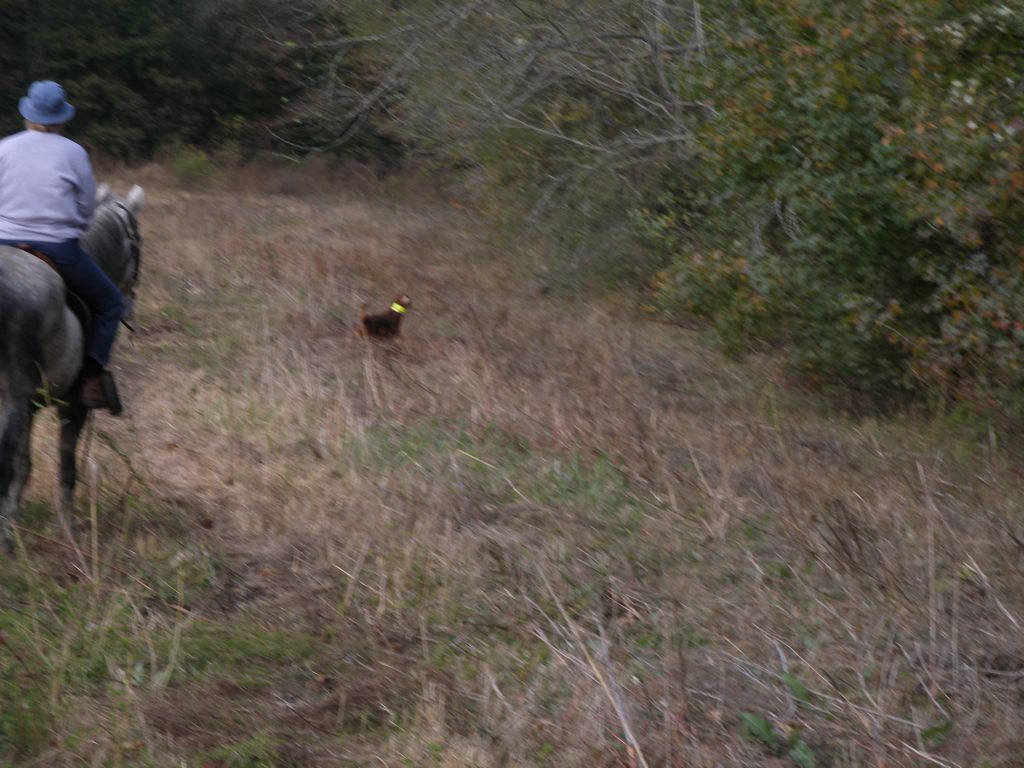 PB020358.JPG