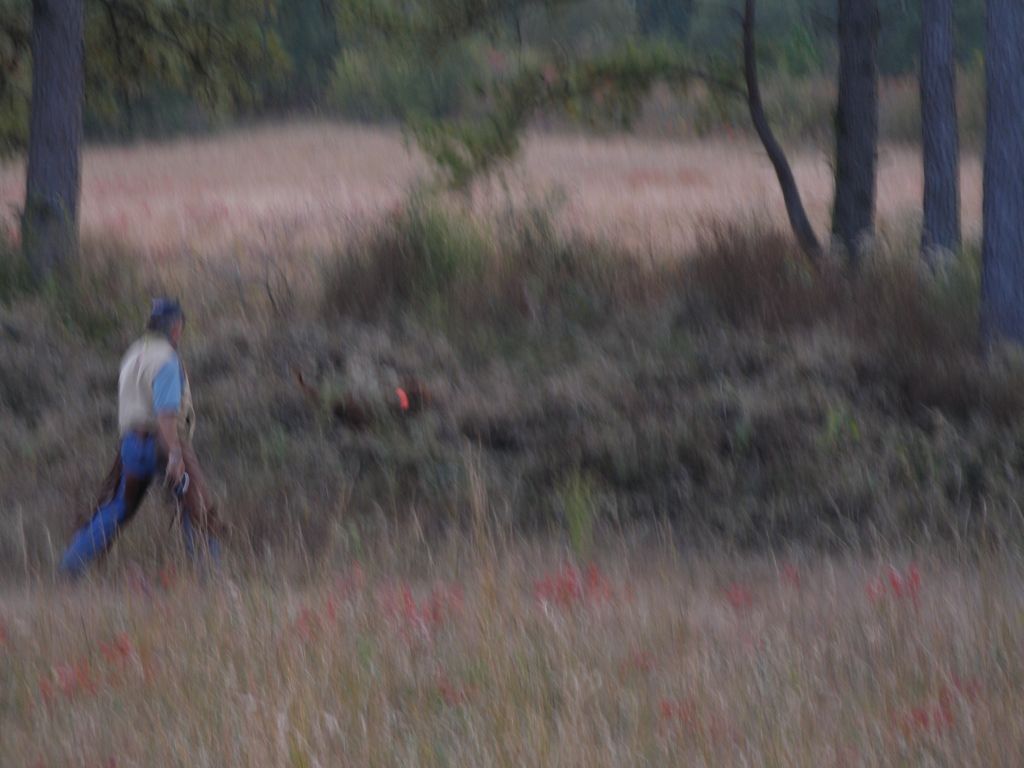 PB020360.JPG