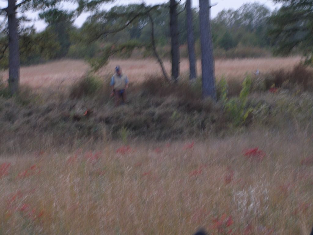 PB020363.JPG