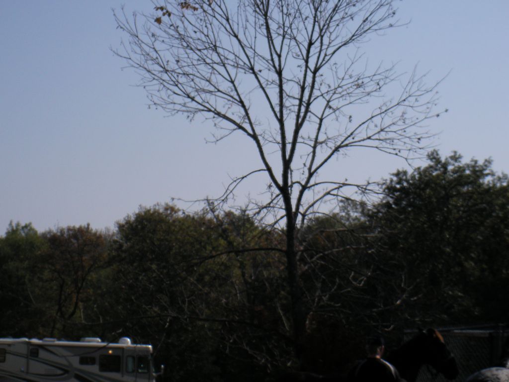 SANY0070.JPG
