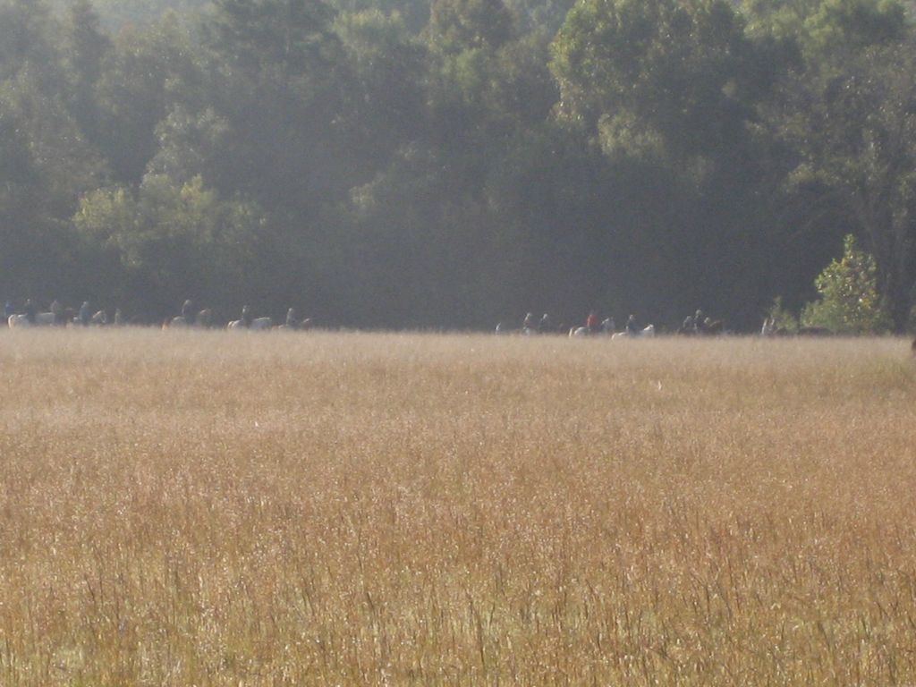IMG_0970.JPG