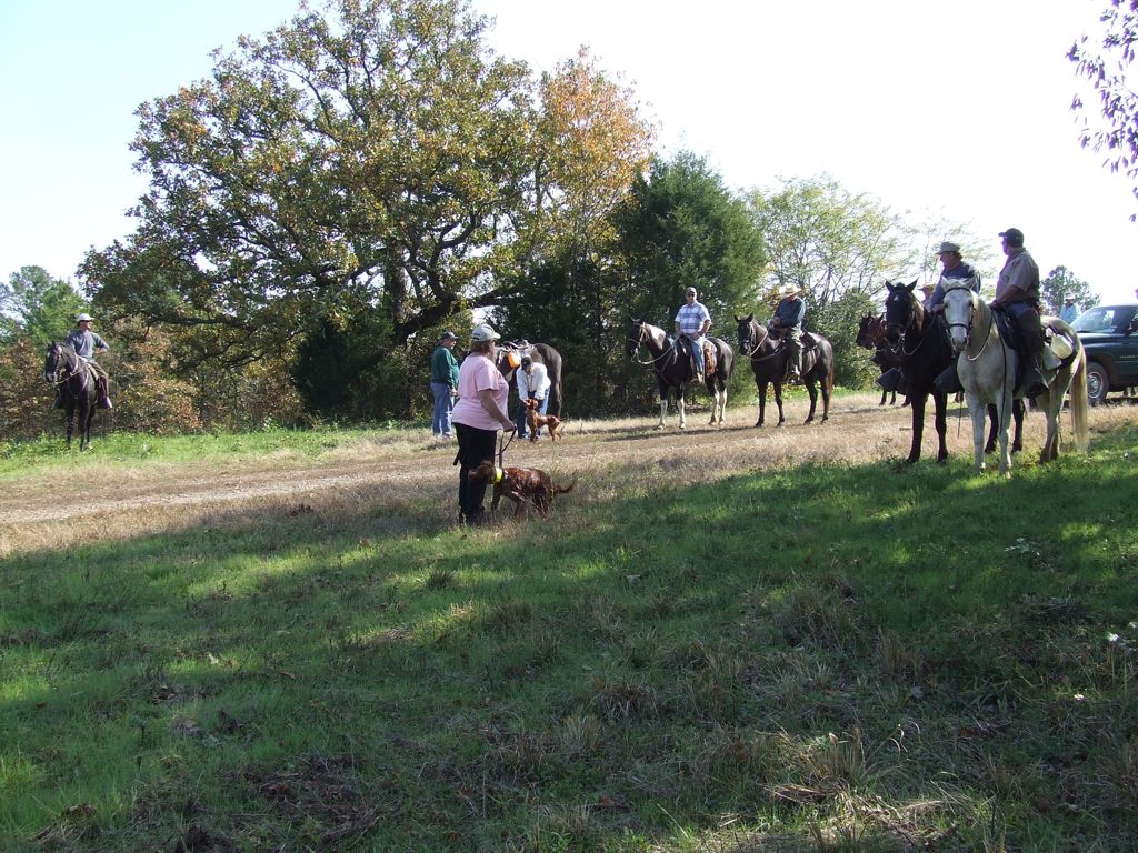 DSCF0664.JPG