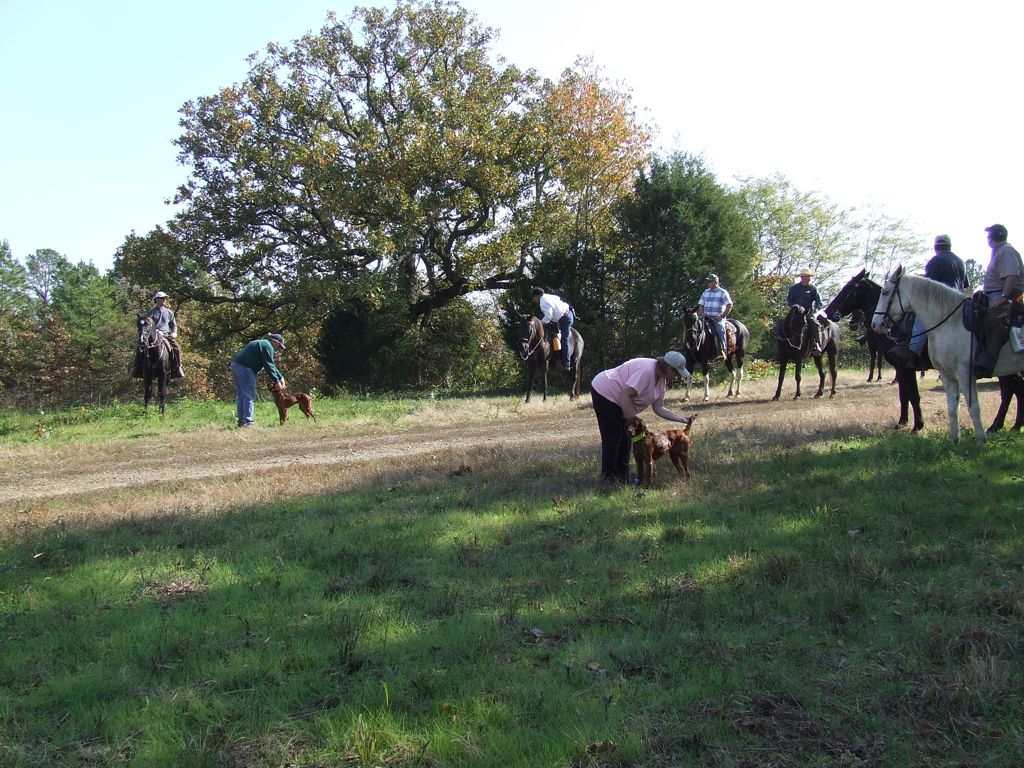 DSCF0666.JPG