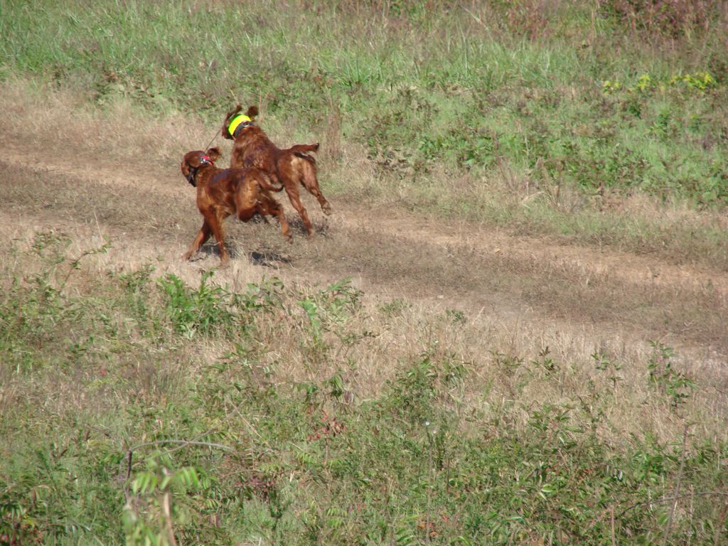 DSC01155.JPG