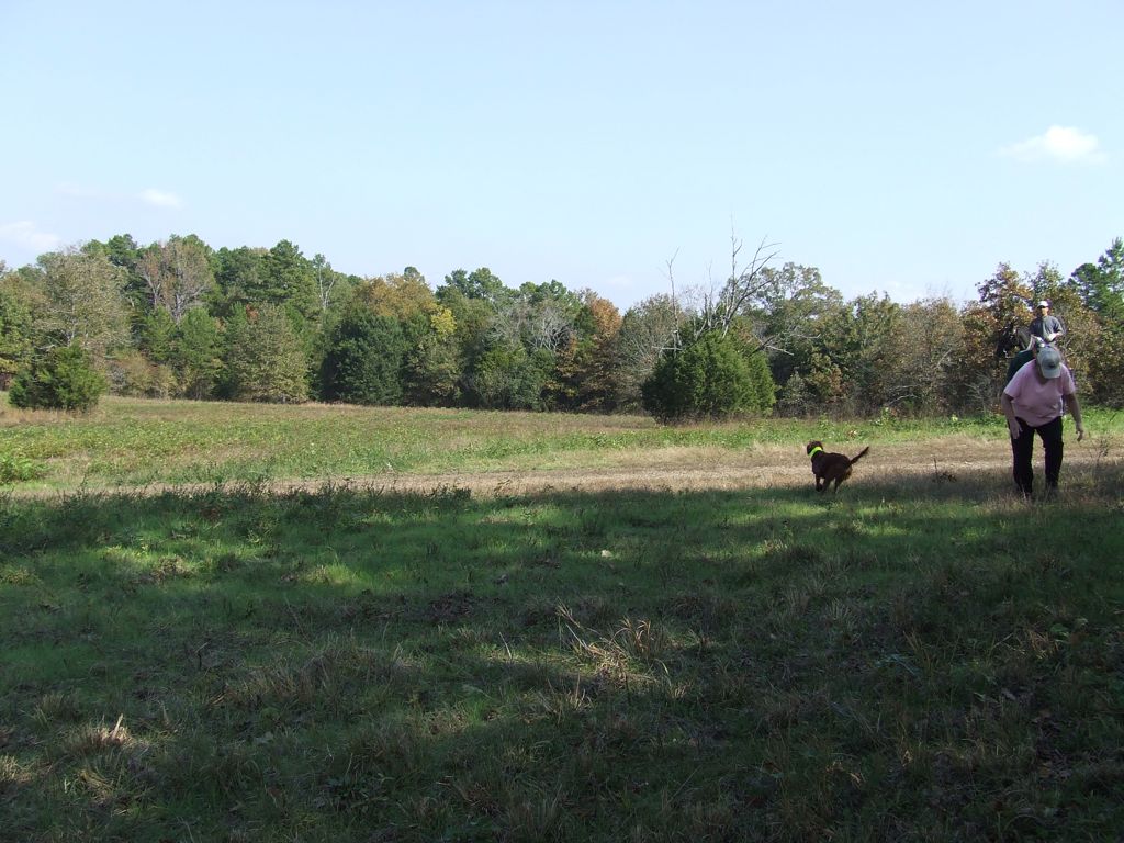 DSCF0667.JPG