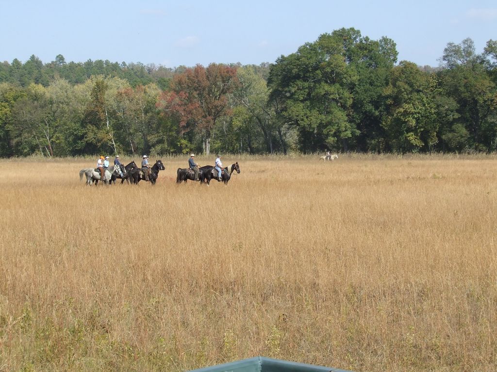 DSCF0670.JPG
