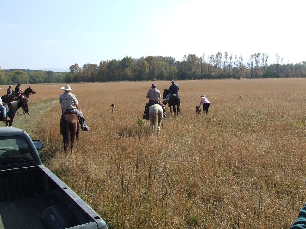 DSCF0672.JPG