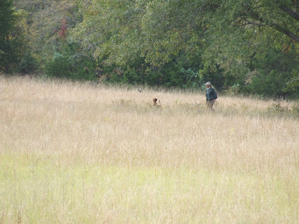 DSCF0597.JPG