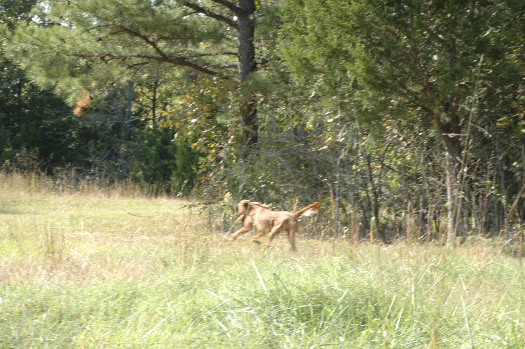 DSC_0092.JPG