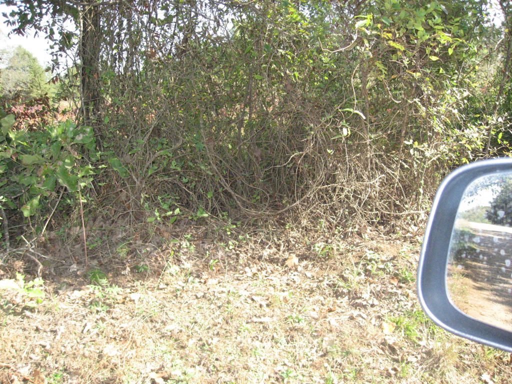 IMG_0414.JPG