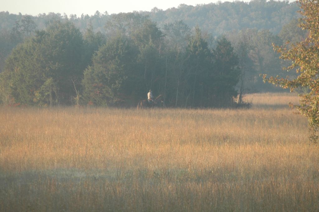 DSC_0117.JPG