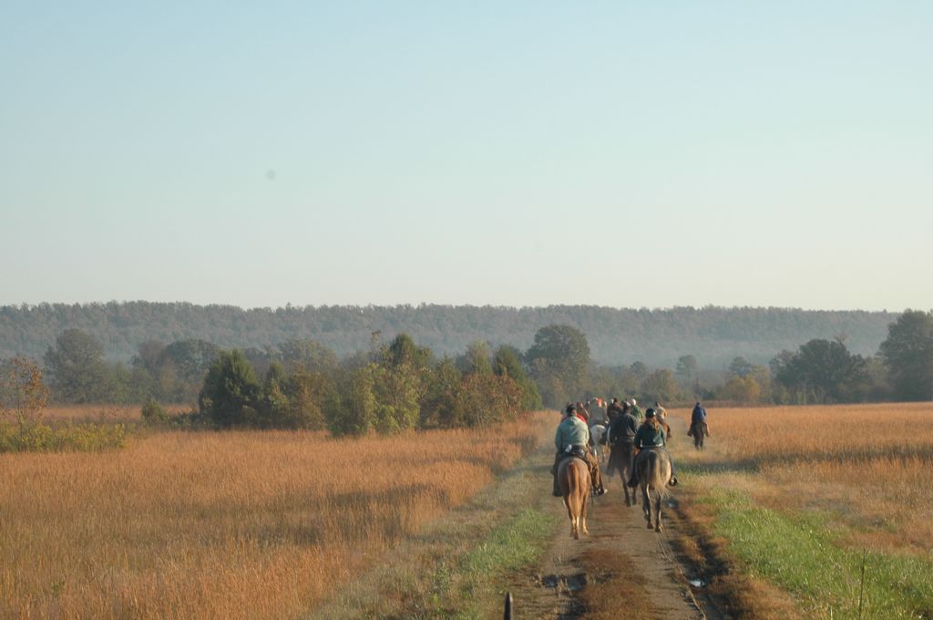 DSC_0121.JPG