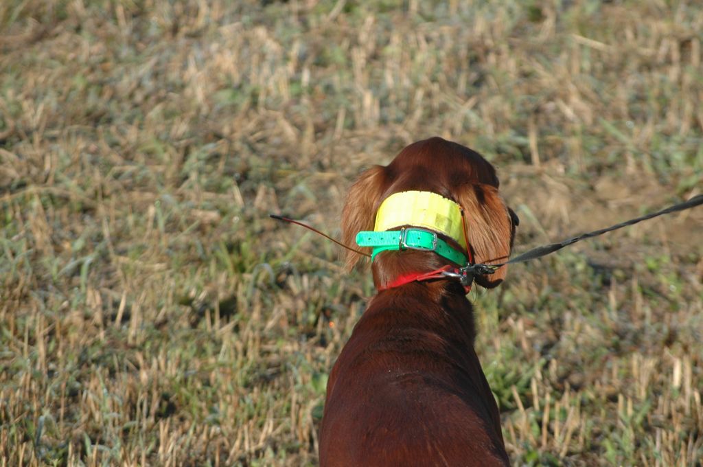 DSC_0126.JPG