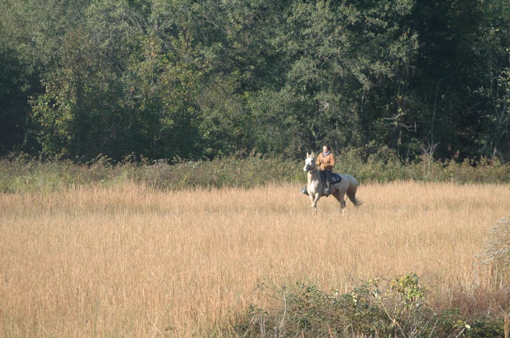 DSC_0133.JPG