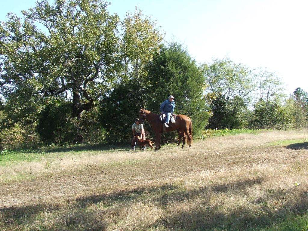 DSCF0567.JPG