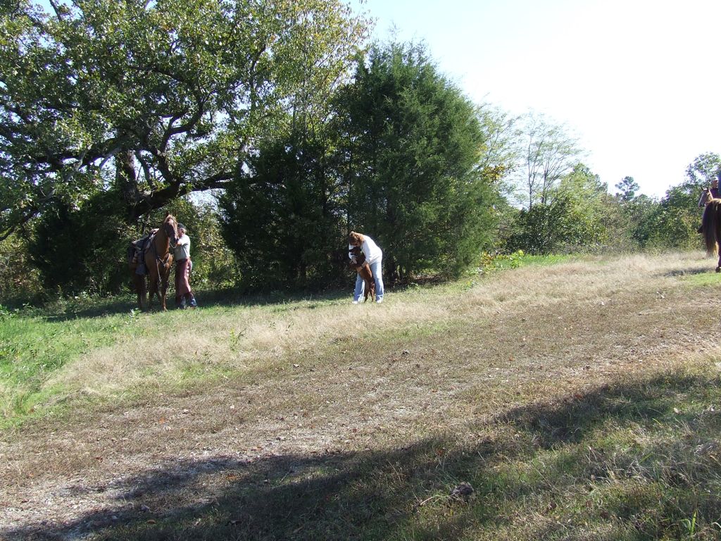 DSCF0568.JPG