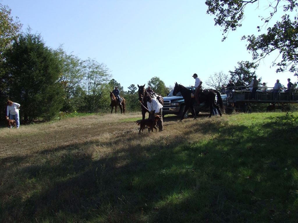 DSCF0569.JPG