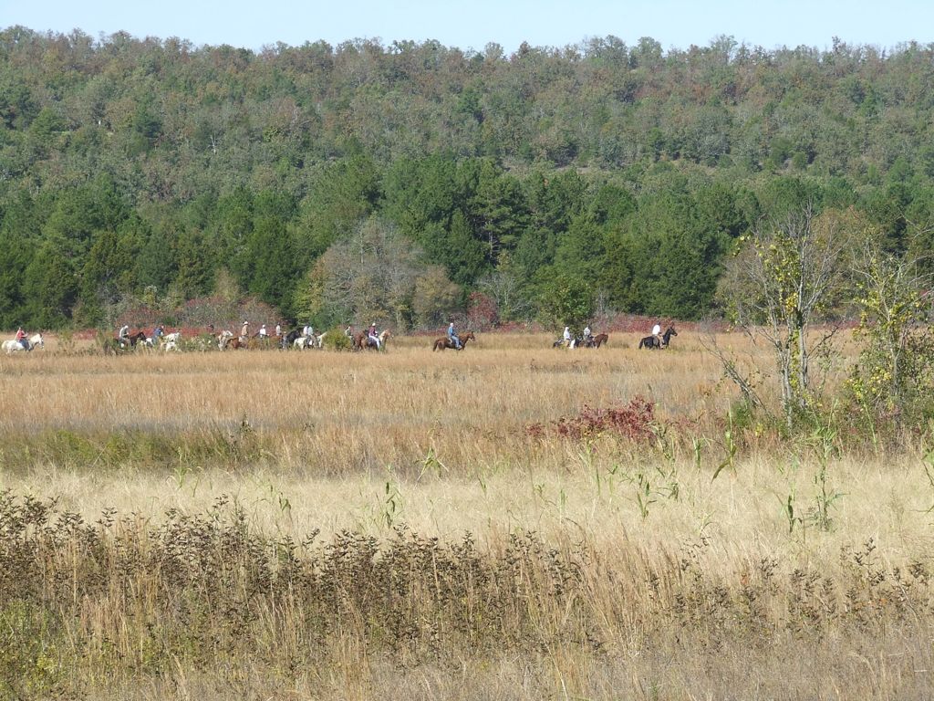 DSCF0574.JPG