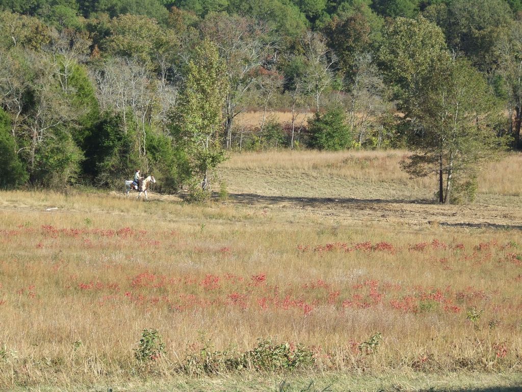 DSCF0576.JPG