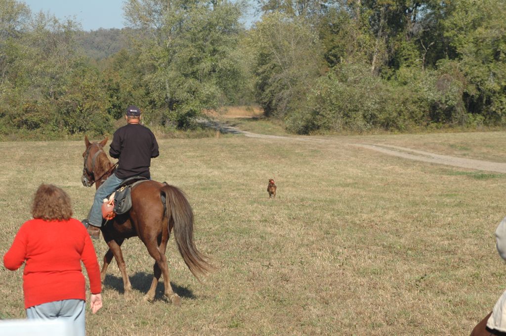 DSC_0165.JPG