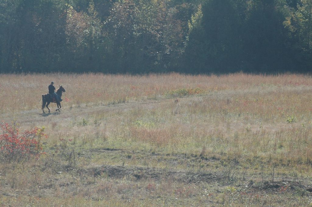 DSC_0167.JPG