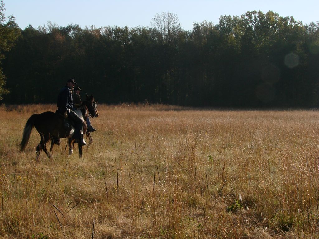DSC00922.JPG