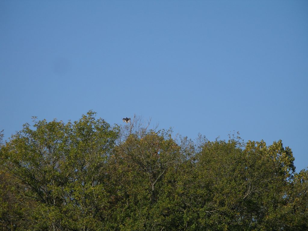 PA300285.JPG