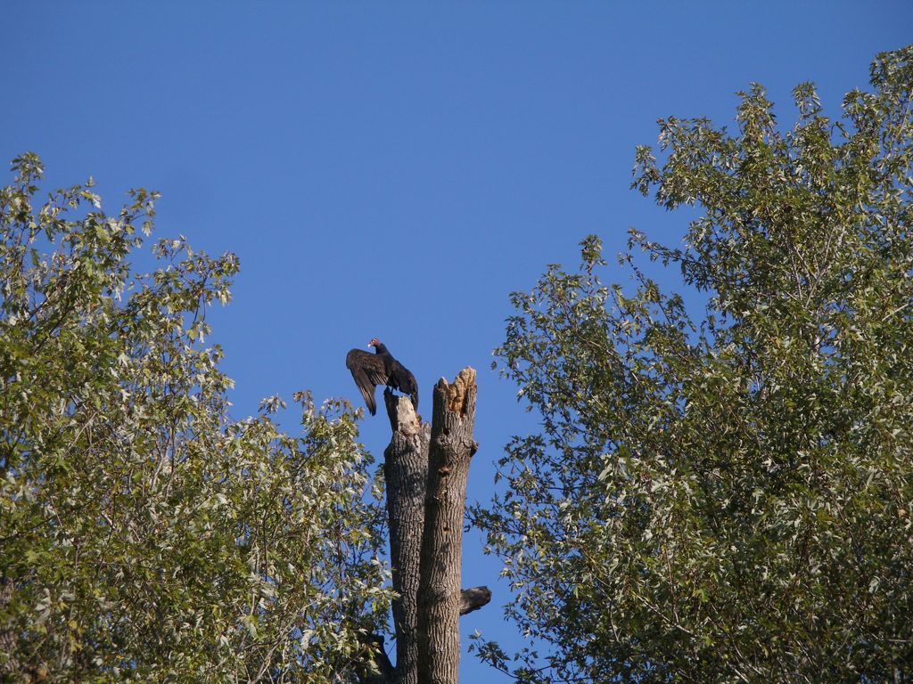 PA300286.JPG