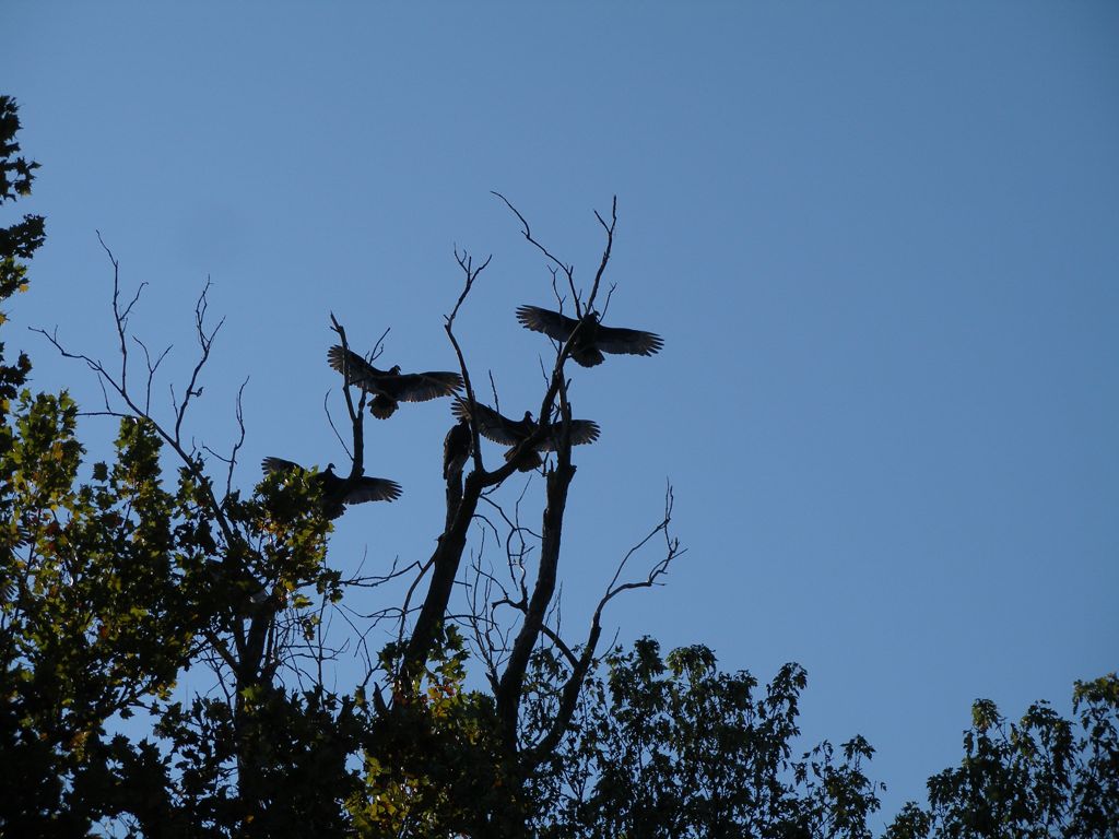 PA300297.JPG