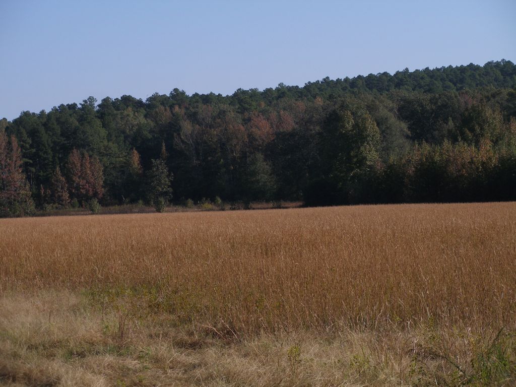 PA300298.JPG