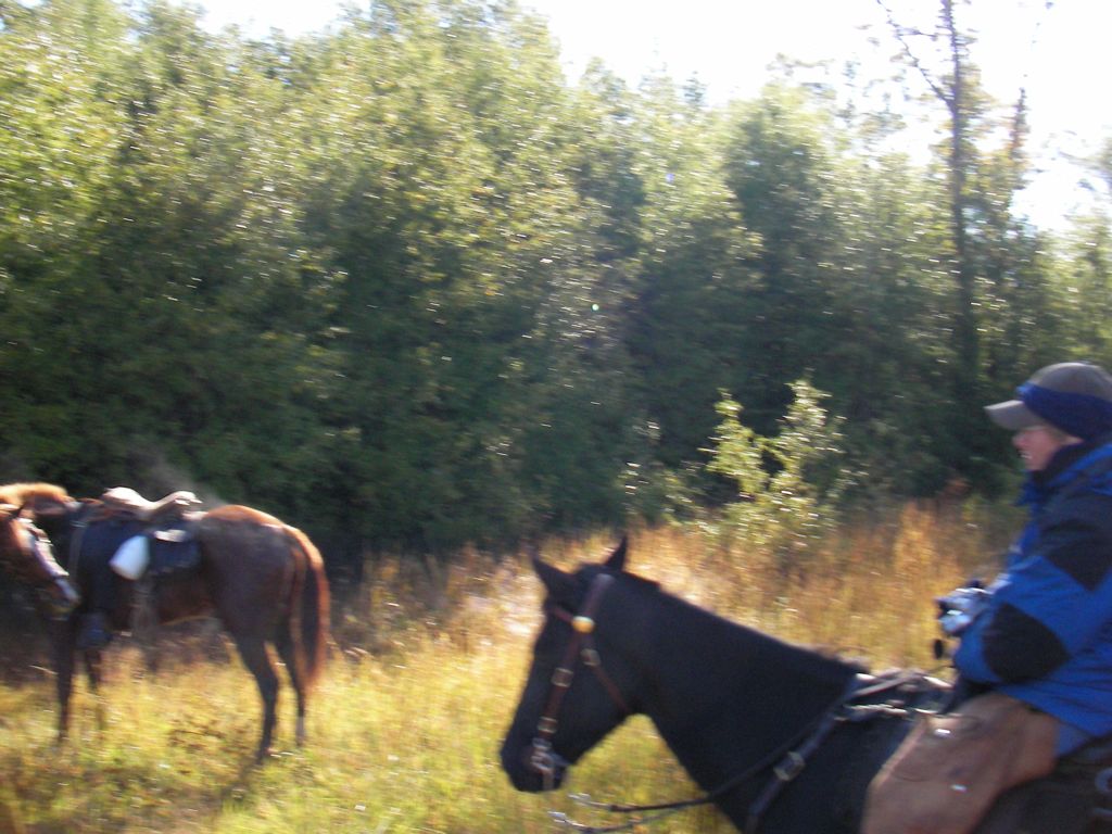 SANY0022.JPG