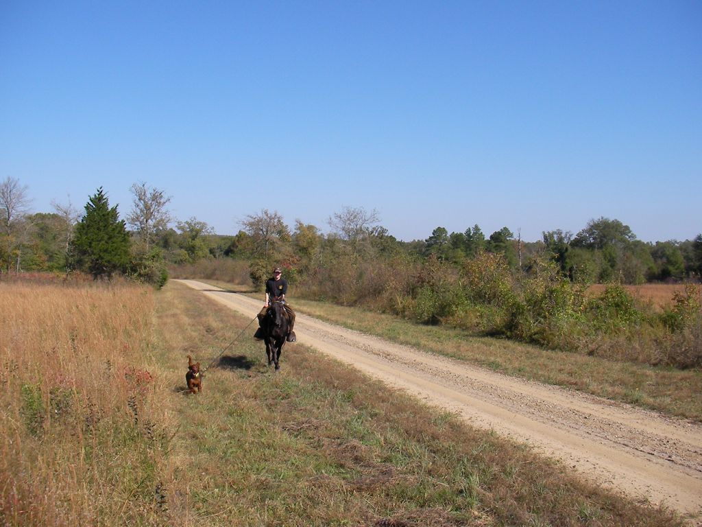 SANY0028.JPG