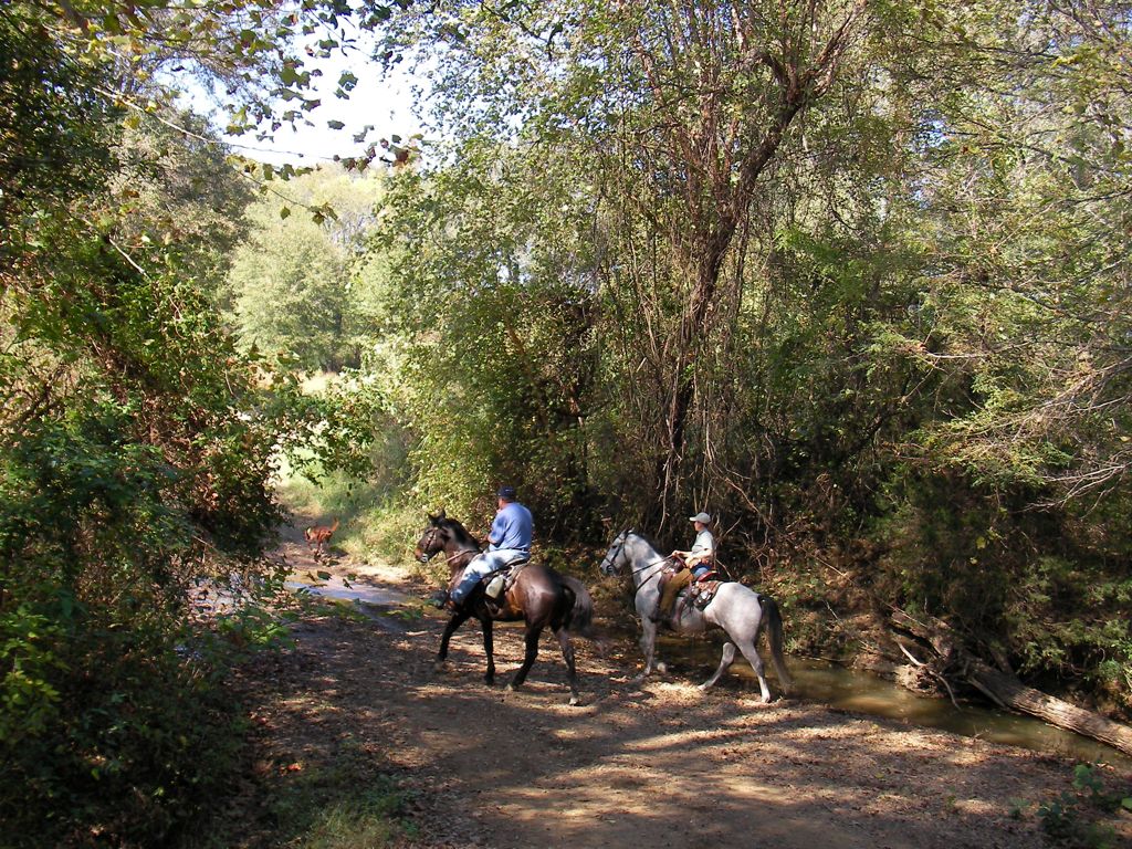SANY0035.JPG