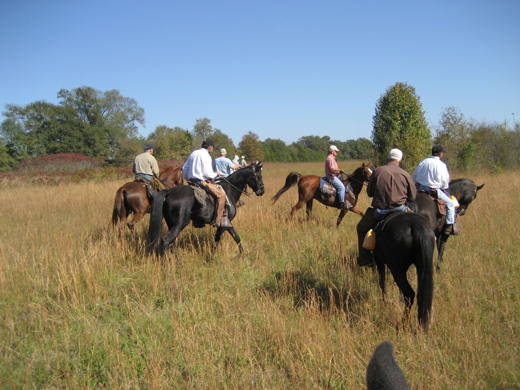 IMG_1054.JPG