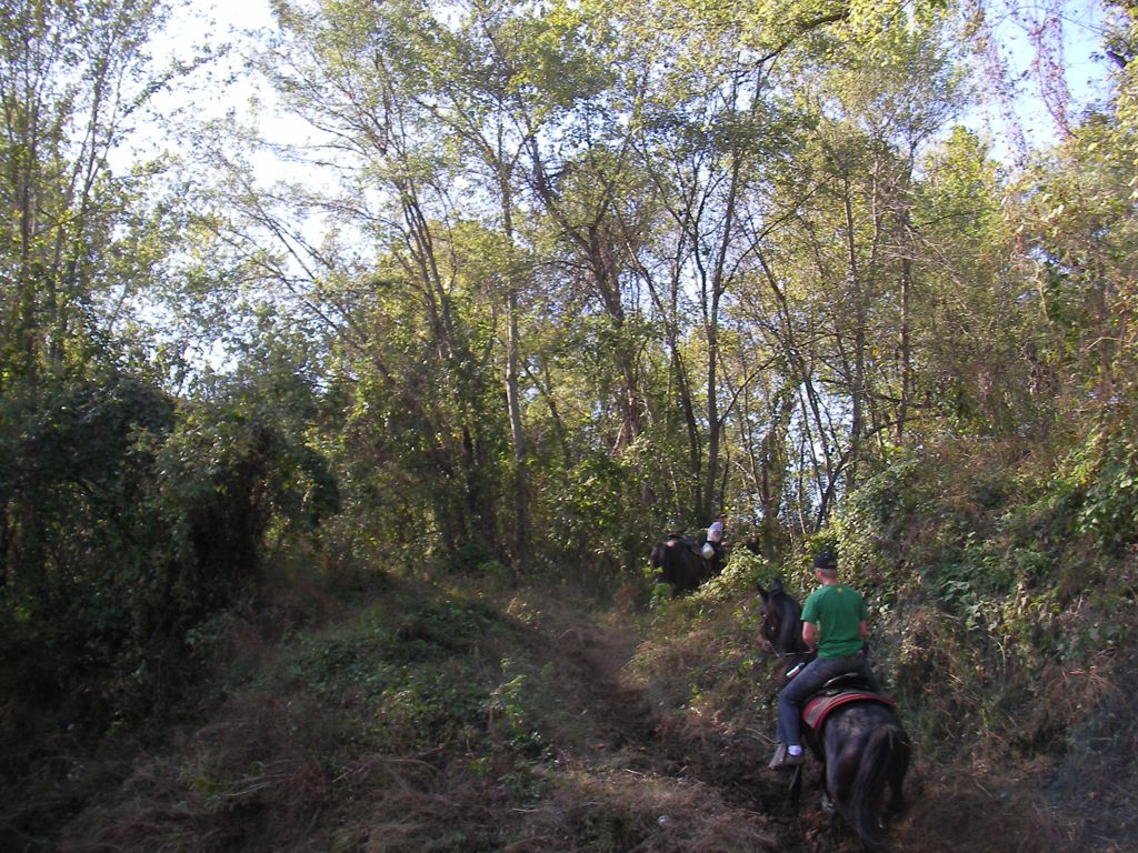 SANY0040.JPG