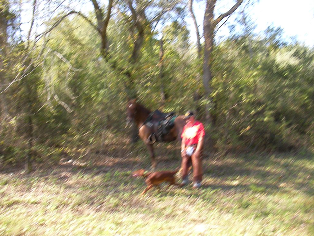 SANY0044.JPG