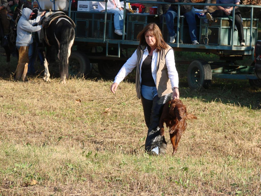 DSC00979.JPG