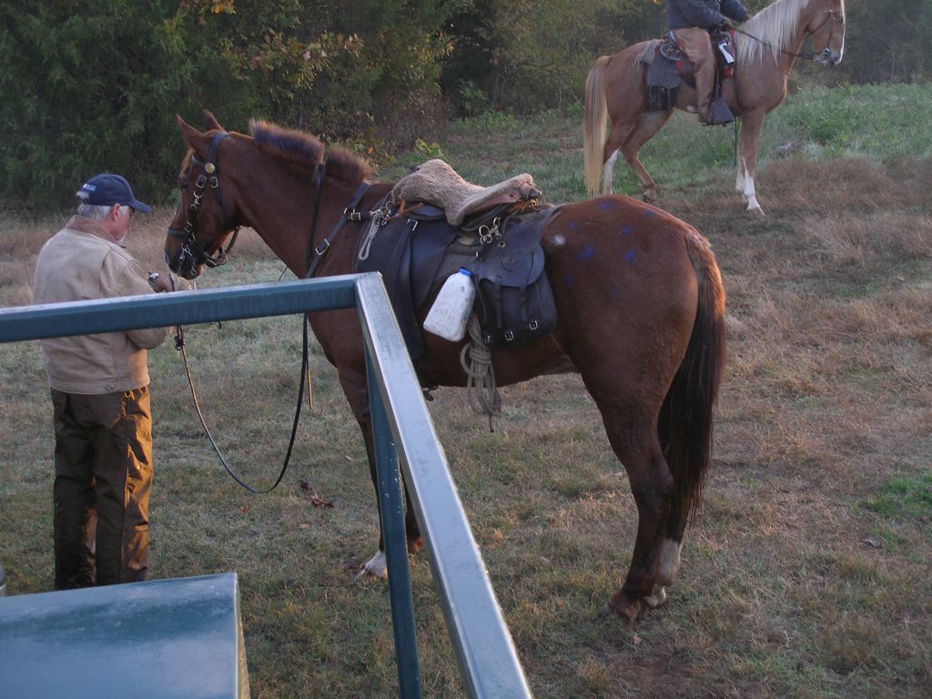 PA310302.JPG
