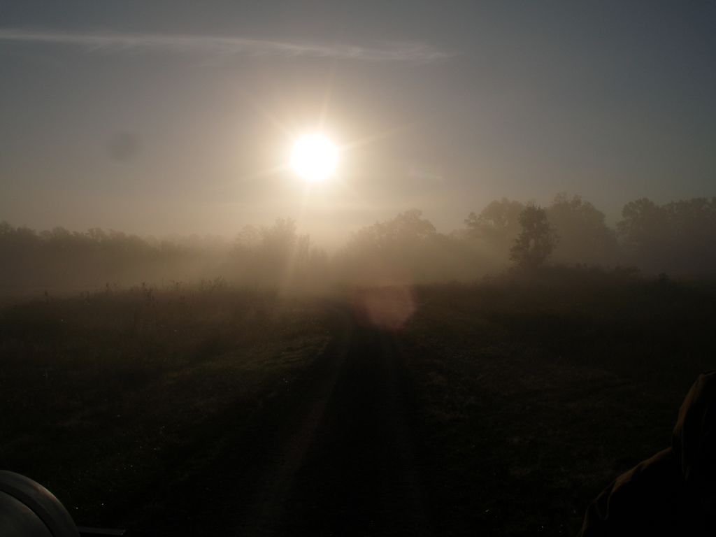 PA310304.JPG