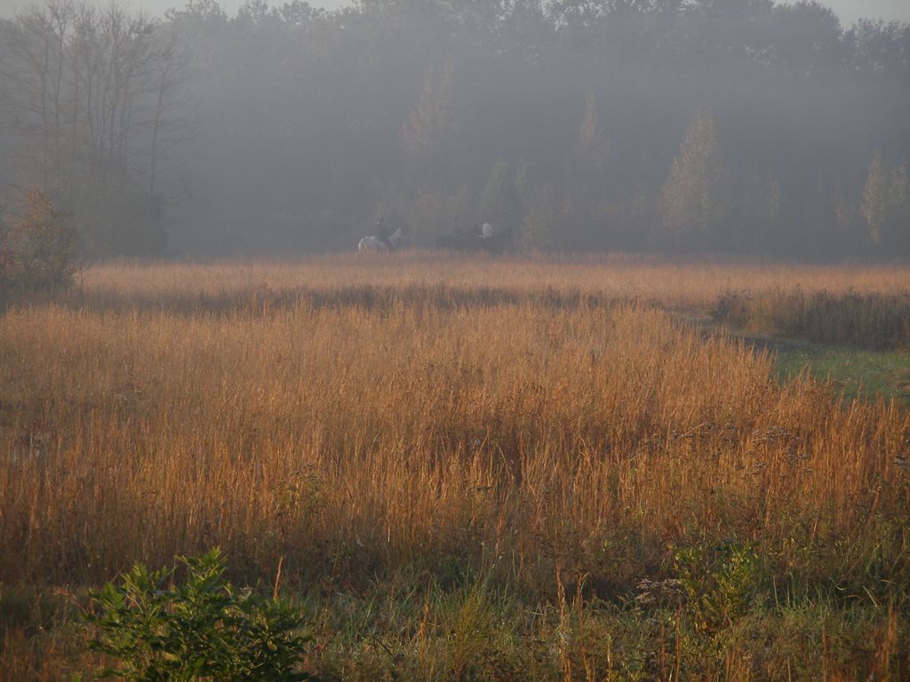 PA310305.JPG