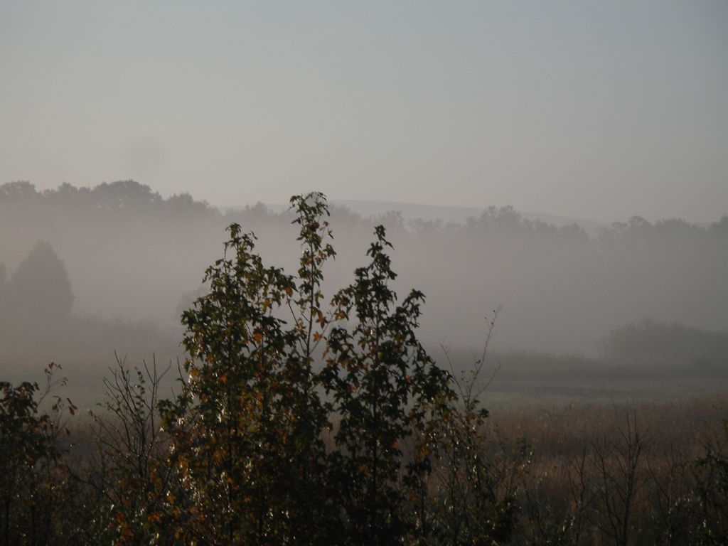 PA310306.JPG