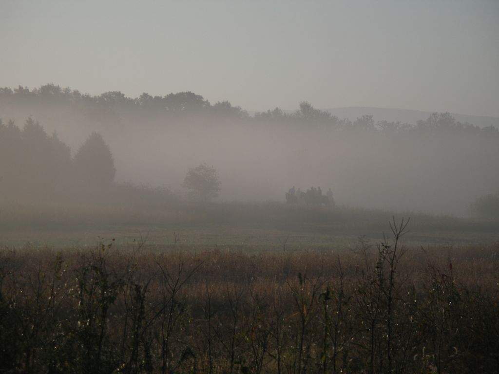 PA310307.JPG