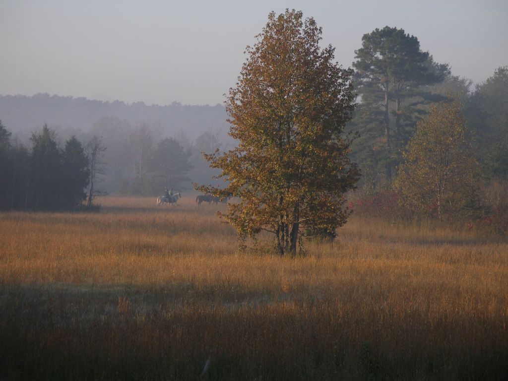 PA310308.JPG