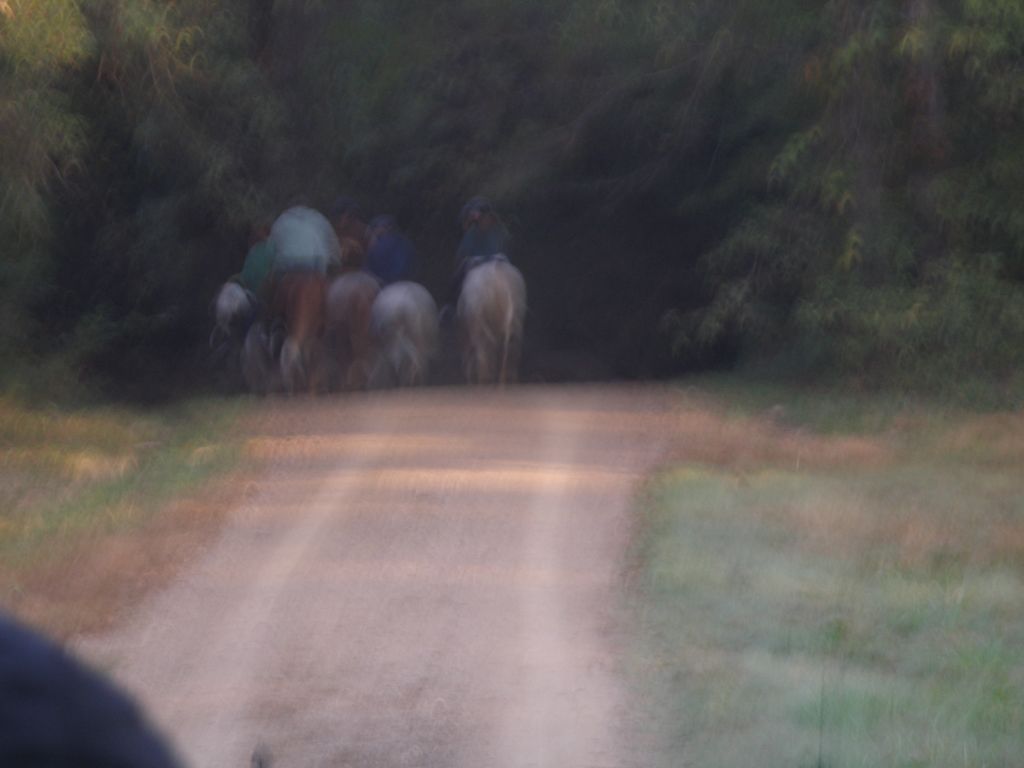 PA310309.JPG