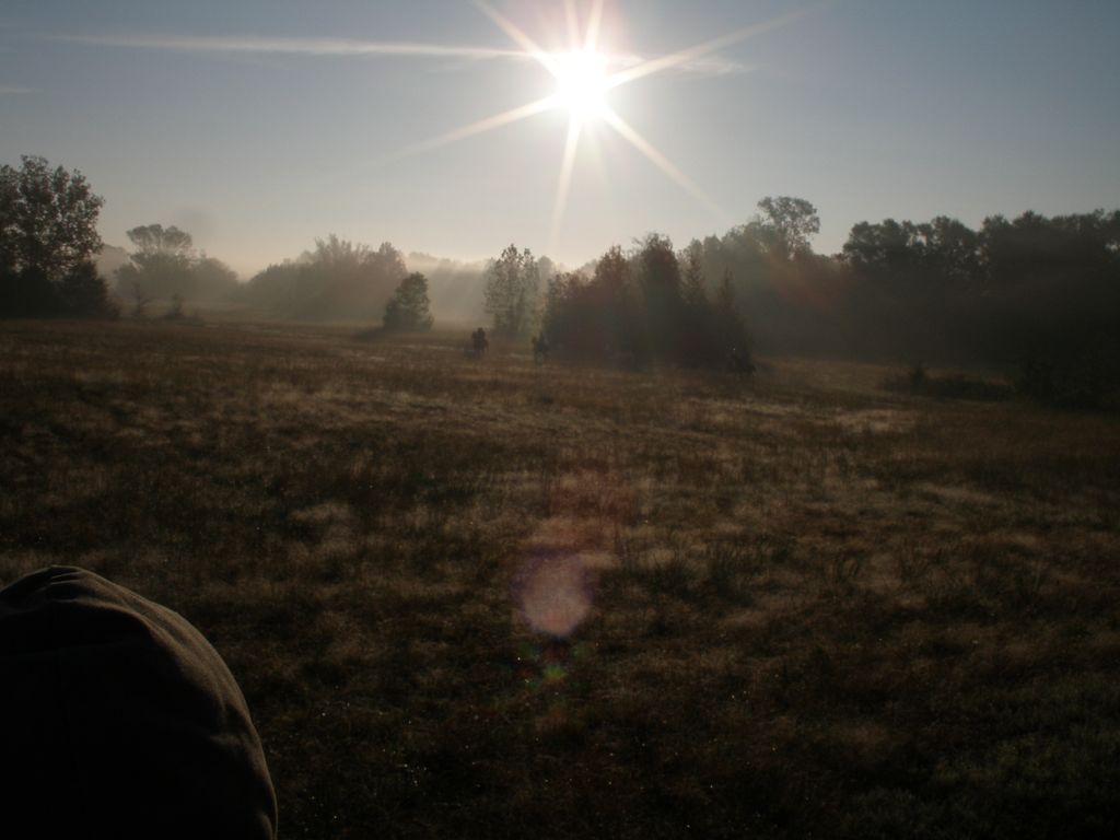 PA310310.JPG
