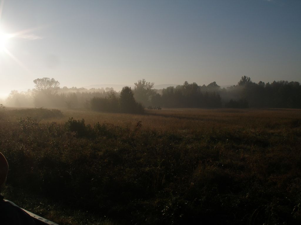 PA310311.JPG