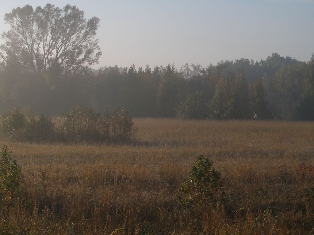 PA310313.JPG