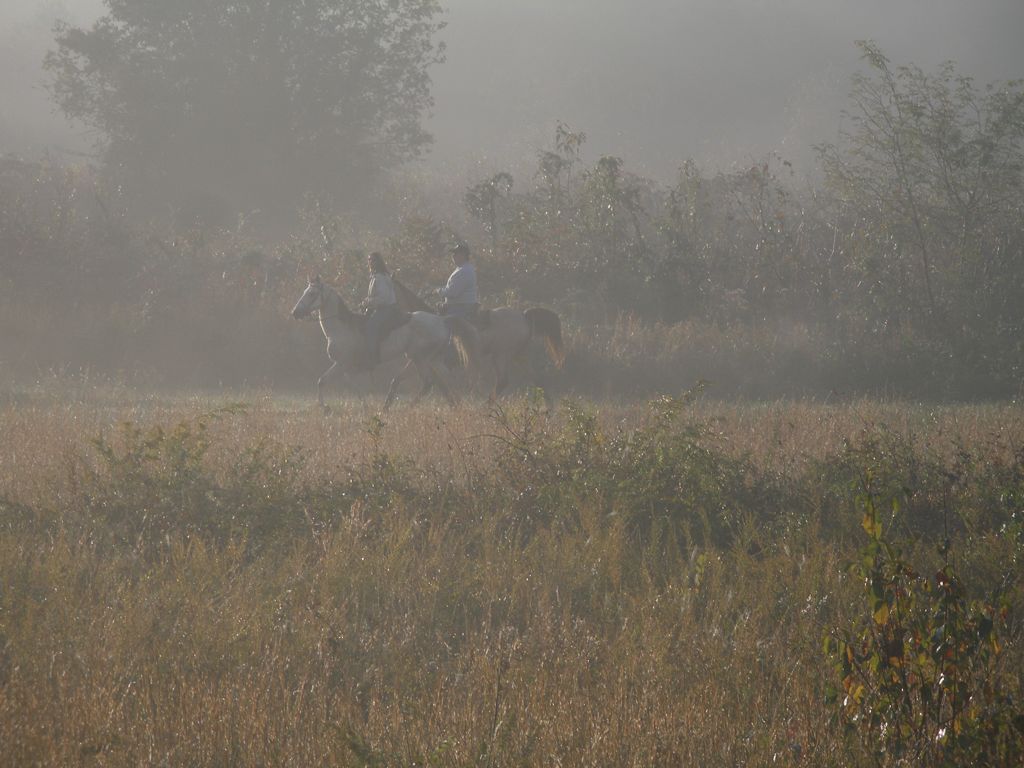 PA310316.JPG