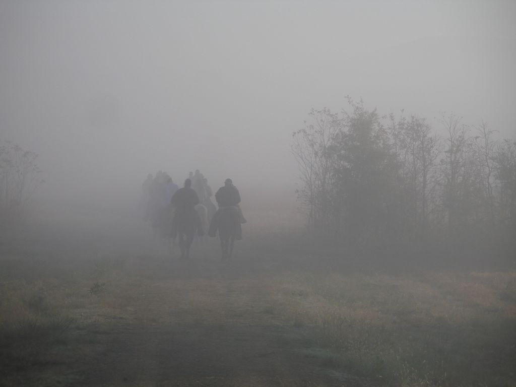 PA310318.JPG